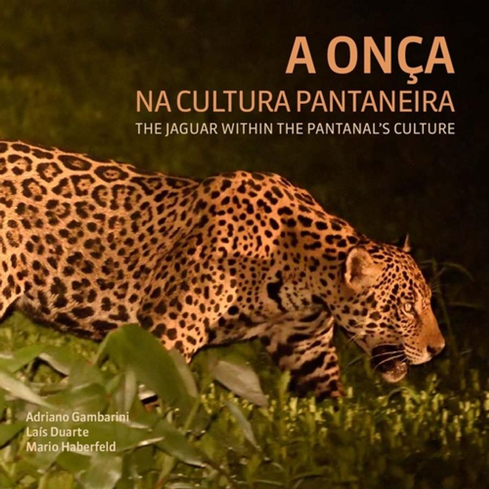 Cultura do pantaneiro: conheça a rotina dos peões